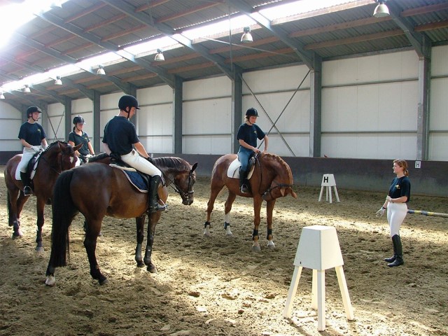 Andes Puno Consumeren Zelfstandig instructeur paardrijden - SYNTRA Opleidingen