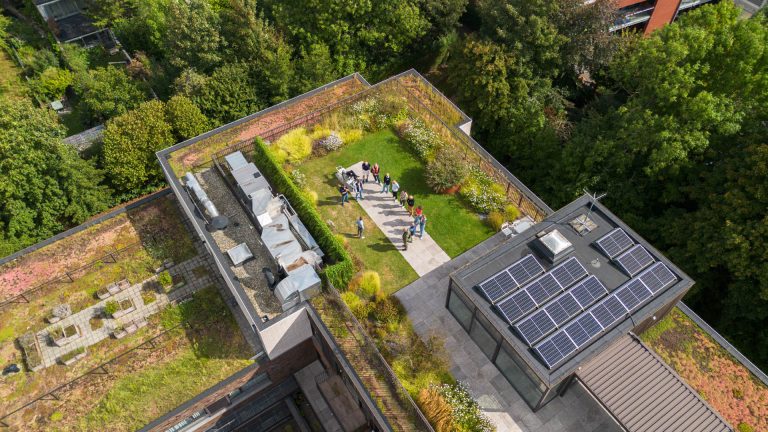Klimaatdaken, klimaatdak adviseur, blauwdak, groendak